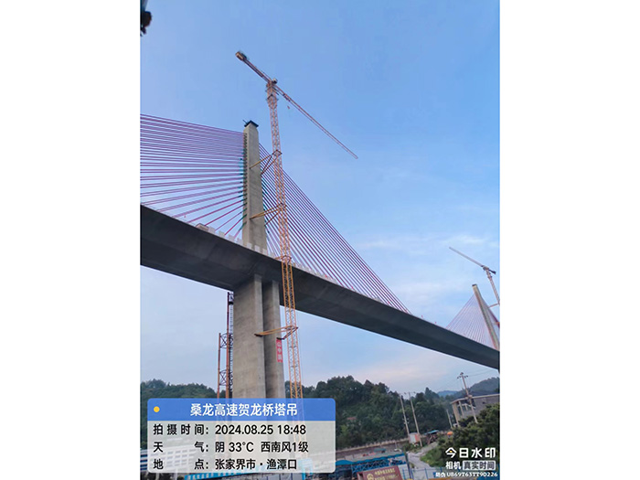 张家界桑龙高速贺龙桥塔吊